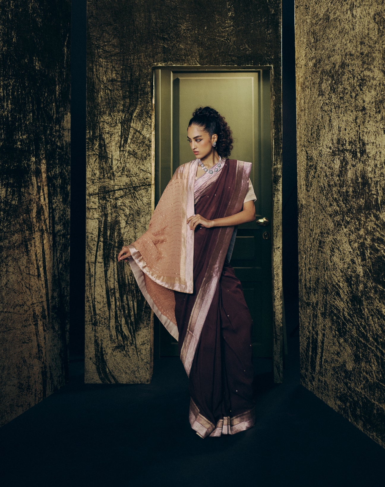 Vaidehi Saree Set in Coffee