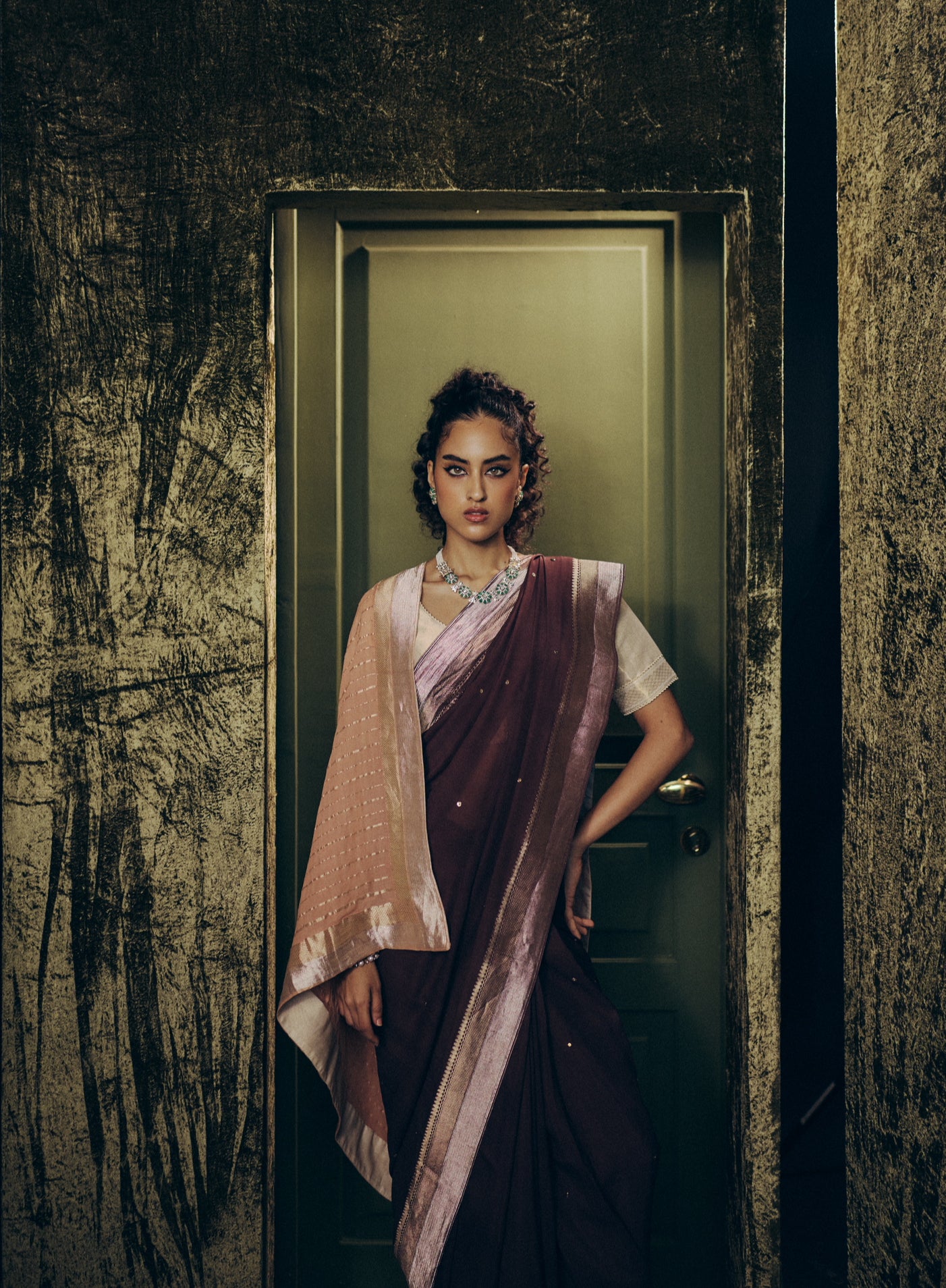 Vaidehi Saree Set in Coffee